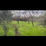 زمین مسکونی 300 متری شیرود ، لپاسر ، کنار شهرک زاینده رود