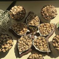 فروش پسته امسالی