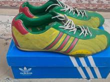 کتونی آدیداس در شیپور