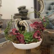 گل و گلدان ، 5 شاخه گل ارکیده زرشکی