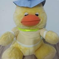 اردک پشمالو ی خوابالو