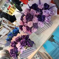 گل روبانی / گل پروانه