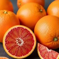 پرتقال خونی تاراکو سردرختی