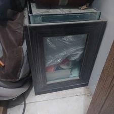 آکواریوم ماهی