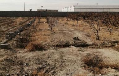 زمین 600متری مناسب سرمایه گذاری