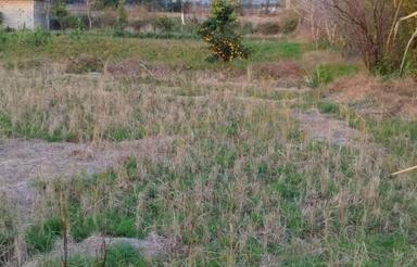 فروش زمین مسکونی 205 متر در خیابان کفشگرکلا