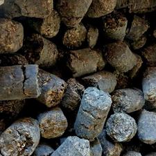 تفاله چغندر درجه یک، سبوس گاو گوسفند اسب بز