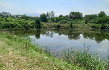 فروش 52 هکتار استخر ماهی دامداری مسکونی...