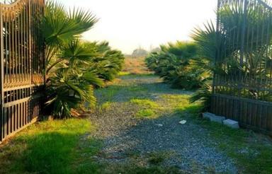 فروش زمین مسکونی 200 متر در آپادانا