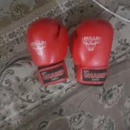 دستکش بوکس