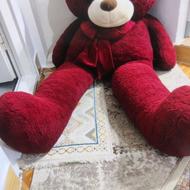 خرس دو متری نو