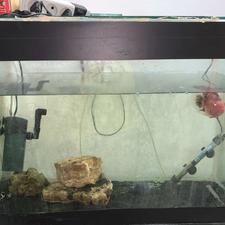 فروش شیشه اکواریوم