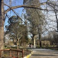 استخدام اشپز