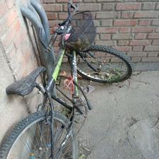 دوچرخه سایز 26