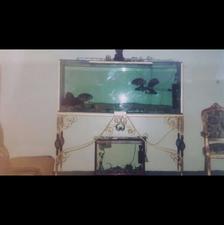 آکواریوم سکوریت سفارشی 180 همراه با میز