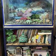 آکوواریوم و میز