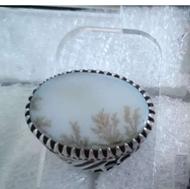 شجر زنده یخی زمینه سفید پاک