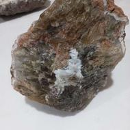 سنگ راف فسیل چوب