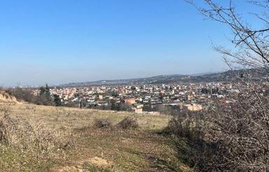 فروش زمین 8000 متر در مهدشت