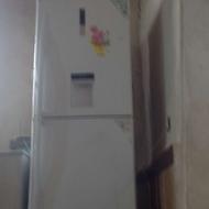 مشک ت با پلپاد