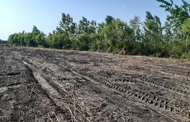 زمین آینده دار کنارگذر جدید بندرانزلی