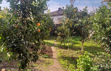 ویلا در شهر کلاچای