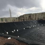 ورق ژوممبران