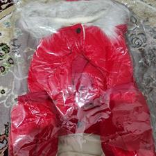 کاپشن سگ ودورس