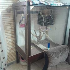 قفس پرنده بزرگ