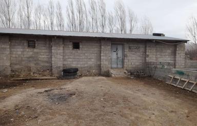 گاوداری قره درویشلو