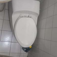 توالت فرنگی ....