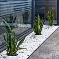 قلوه سنگ های تزیینی