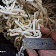 زنجیر پلاستیکی