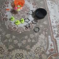 لوازم کیک پزی