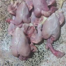 غذای اماده و بسته بندی شده سگ