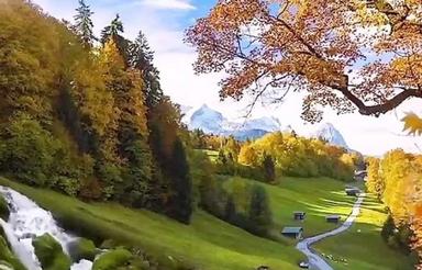 باغ انگور فرمهین