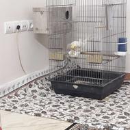 جفت عروس هلندی لوتینو مولدسالم وزیبا