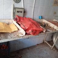 فروش قفسه میوه فروشی