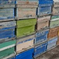 فروش کندوی زنبور عسل