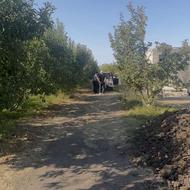 فروش باغ کشاورزی