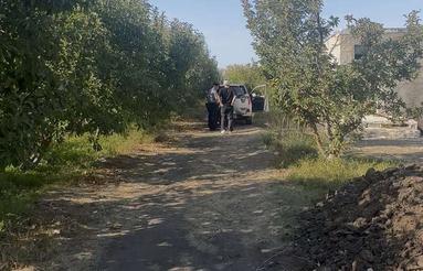 فروش باغ کشاورزی