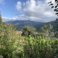 اجاره سوییت ویلایی در سوادکوه روستای کارمزد