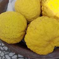 بالنگ مرکبات