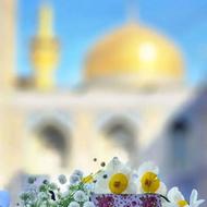 تور مشهد /ریلی هوایی/ ویژه بهمن و اسفند