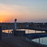 مزرعه زمین کشاورزی عالی سند تک برگ