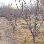 هرس‌‌کار‌‌