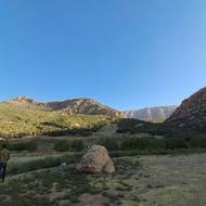 خریدار پیکان انژکتور هستم