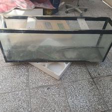 آکواریوم بزرگ وسالم