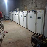 دستگاه جوجه کشی جویبار