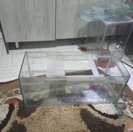 شیشه آکواریوم